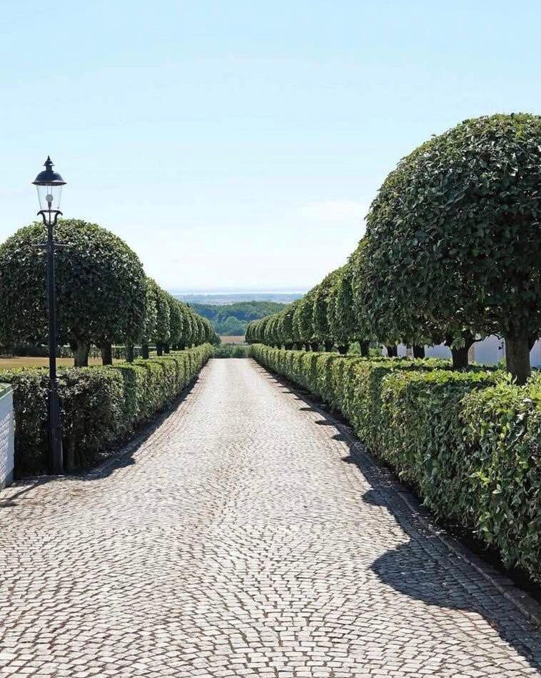 Bilder över allén som leder in till Bjäre Konsthall